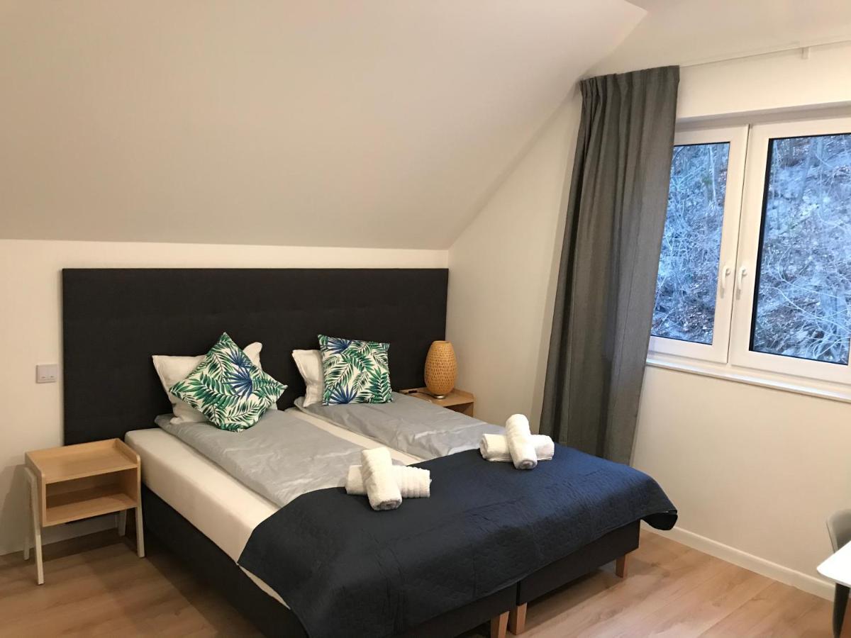 Apartamenty Pod Zamkiem W Janowcu Janowiec Buitenkant foto